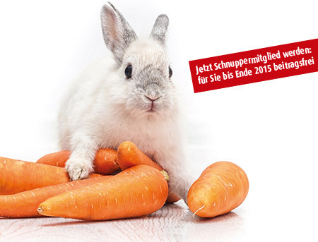 Forum Kollau Schnuppermitgliedschaft 2015