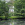 Der große Teich der Von-Eicken-Villa wurde renaturiet und hat sich zu einem Biotop entwickelt