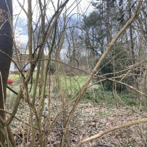 Rest der ehemaligen Burchard Villa von Norden betrachtet