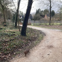 Neue Zuwegung vom Kutscherhaus zur Turnhalle der schule Hinter der Lieth