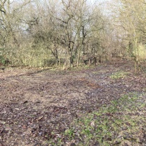 Brache nördlich der neuen Zuwegung