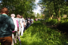 2017 Lokstedter Parks