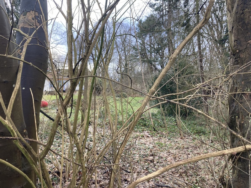 Projekte Kutscherhaus