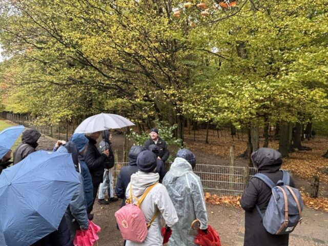 2025 Spaziergang Gehege 02