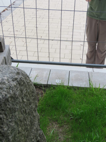 christian_foerster_02_m