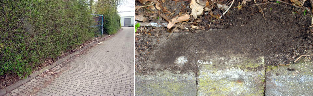 Einfahrt zum Gewerbehof Troplowitzstraße. Der Kantstein markiert die ehemalige Grenze zwischen Hamburg und Preußen. 20 cm unterhalb des mittleren Kantsteins liegt der Grenzstein 9K. Er ist somit nicht sichtbar.