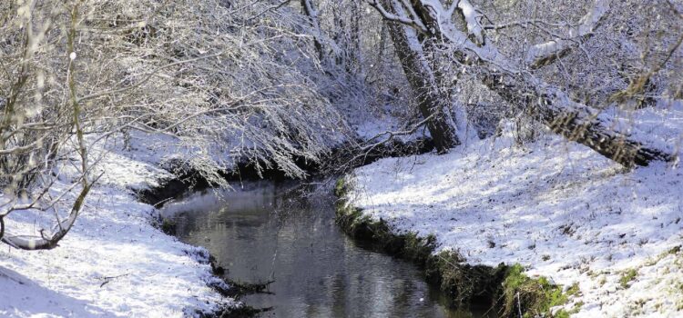 Winter-Spaziergang durch Wald und Feld